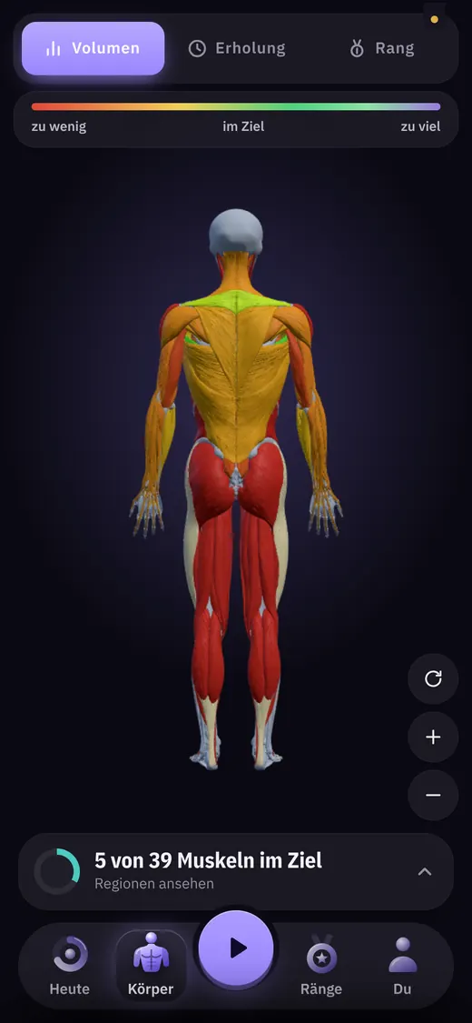 Anavo: 3D-Muskelmodell, eingefärbt nach Trainingsvolumen